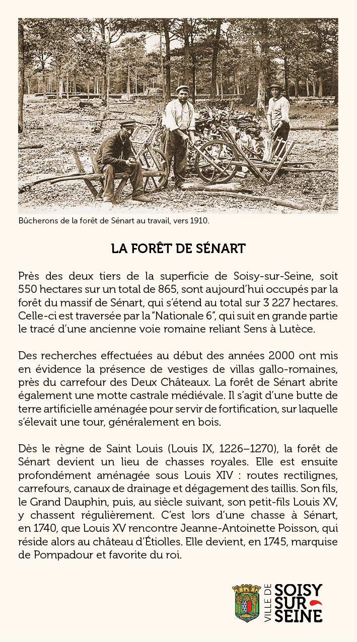 LA FORET DE SENART v2